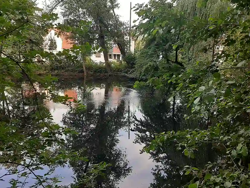 Aufsteigende Sauerstoffbläschen im Teich Wolfskuhlenpark