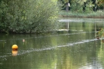 Belüftung am Teich im Waller Park