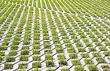 entsiegelte Fl&auml;che