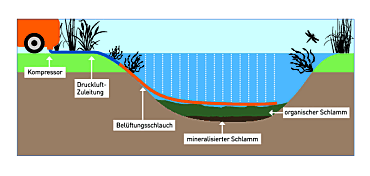 Schematische Skizze des Belüftungssystems