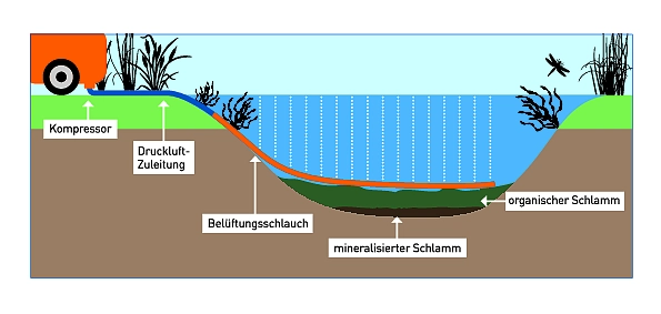 Schematische Skizze des Belüftungssystems