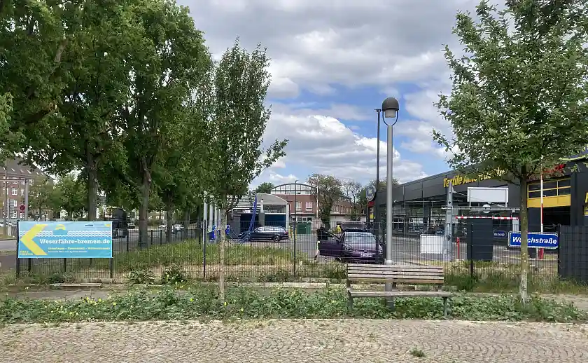 Blühfläche, Torhaus Nord, Mikrooase, MikroOase, Biodiverse Cities, Lindenhof