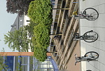 Fahrräder vor Treppenanlagen mit Stadtbäumen. Quelle: MUST