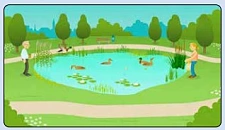 Ein animierter Clip fasst alles Wesentliche zusammen.