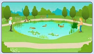 Ein animierter Clip fasst alles Wesentliche zusammen.