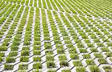 Begrünung privater Flächen