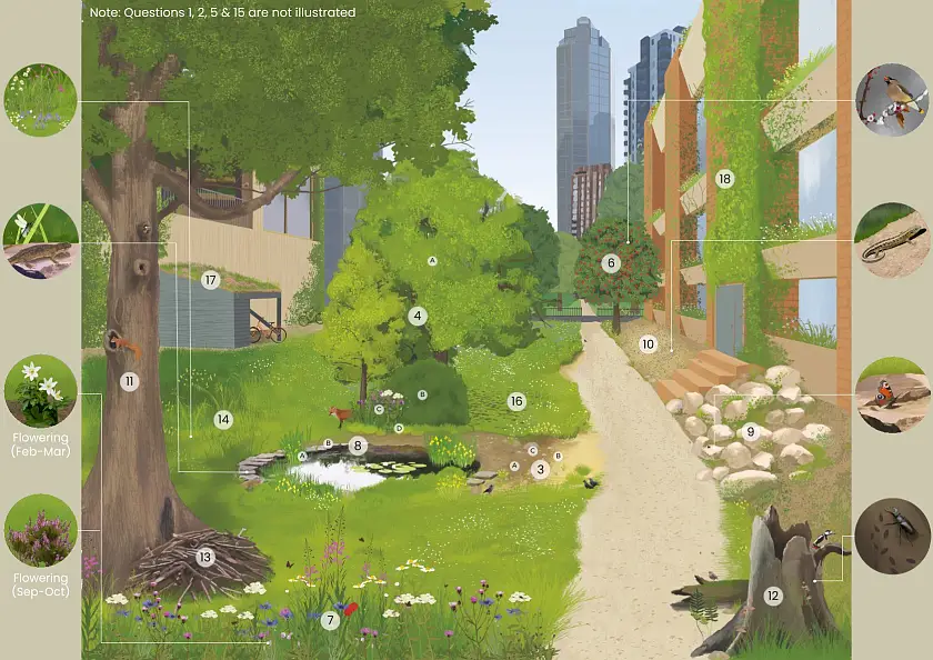 Illustration des BioSCOPE zur Erklärung der Gestaltungsmöglichkeiten für Biodiversität in der Stadt