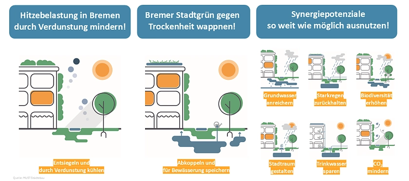 Skizzen die zeigen, wie eine Schwammstadt wirkt