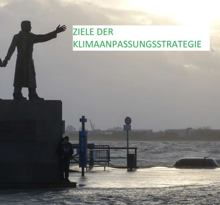 Ziele der Klimaanpassungsstrategie