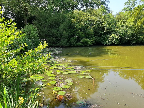 Verlegung der Belüftungsschläuche im Waller Park See