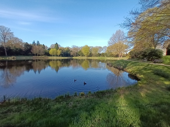 Teiche in Grünanlagen