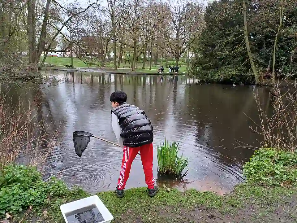 Forschen mit Kescher