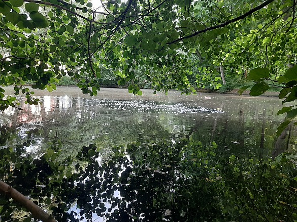 Lineare Belüftung des Teichs im Wolfskuhlenpark