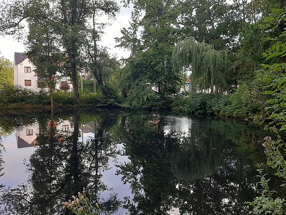 Aufsteigende Sauerstoff-Bläschen im Teich im Wolfskuhlenpark