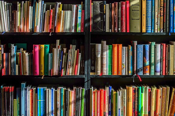 Bücher in einem Bücherregal. Quelle: Pixabay