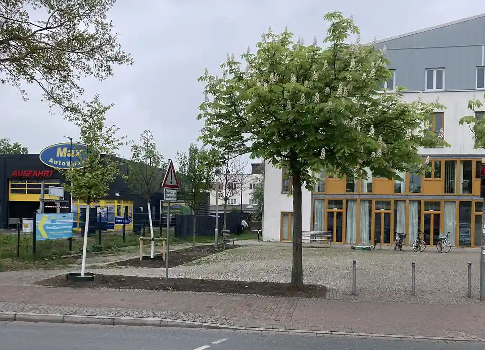 Baumneupflanzung, Baumscheibenvergr&ouml;&szlig;erung, MirkoOase Torhaus Nord, Mirkooase, Lindenhof, Biodiverse Cities