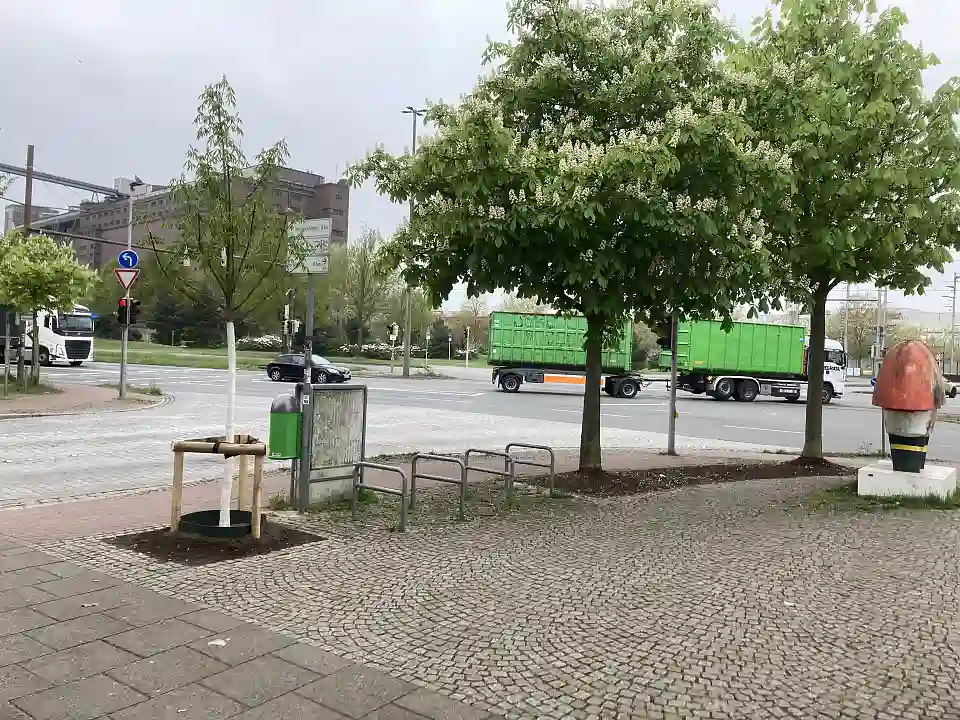 Baumneupflanzung, Baumscheibenverbindung, MikroOase Torhaus Nord, Mikrooase, Lindenhof, Biodiverse Cities