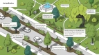 Illustration der Anpassungsoptionen bei Grünflächen 
&tilde; Bildnachweis: SUKW