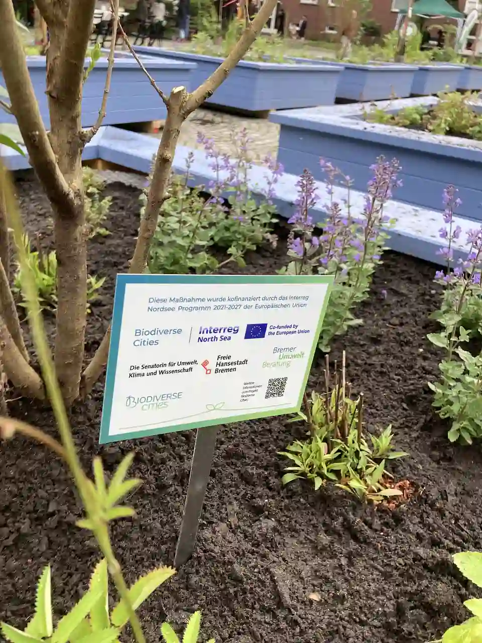 Schild steckt im Hochbeet mit Logos der EU und den Bremer Projektbeteiligten von Bremer Umweltberatung e.V. und der Senatorin f&uuml;r Umwelt, Klima und Wissenschaft.