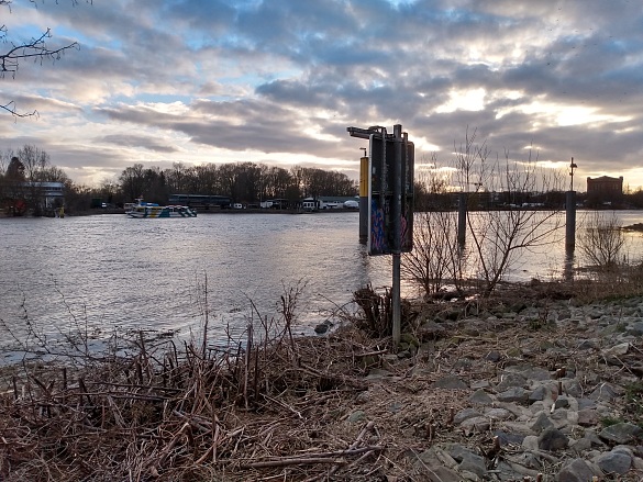 Das Bild zeigt angespültes Schilf und ein Schild nach einer Sturmflut am Osterdeich in Bremen. Quelle: Laila Fiedler (2020). 