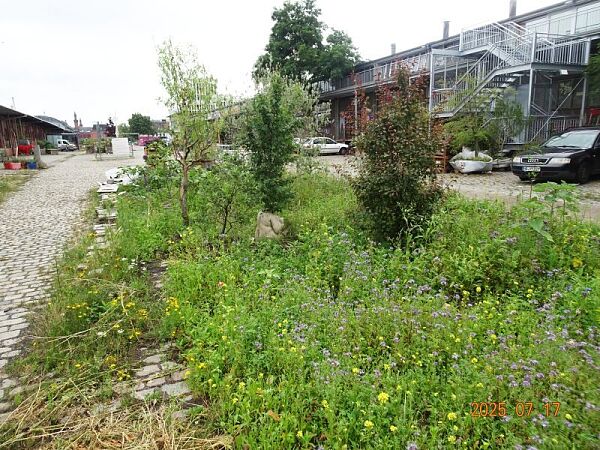Foto von der Grüninsel am ehemaligen Güterbahnhof in Bremen