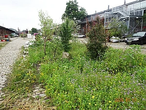 Foto von der Grüninsel am ehemaligen Güterbahnhof in Bremen