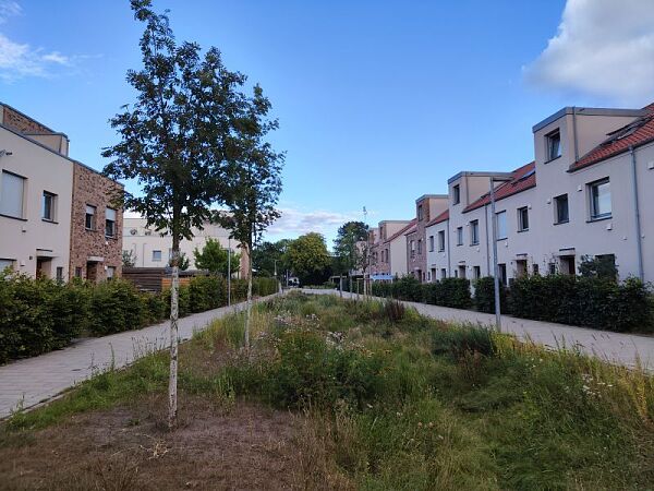 Foto vom Grünzug in der Neubausiedlung 