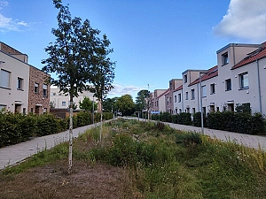 Foto vom Grünzug in der Neubausiedlung 