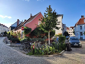 Foto vom Retentionsbeet in der Straße Sielpfad in Bremen