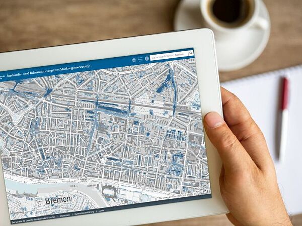 lucky business, ecolo