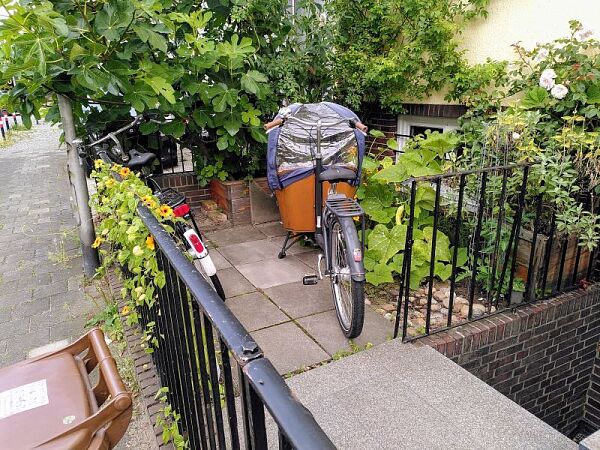 Foto vom begrünten Vorgarten in Bremen