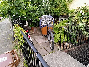 Foto vom begrünten Vorgarten in Bremen