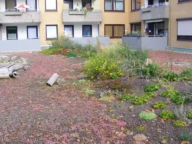 Foto von einem begrünten Dach in Bremen