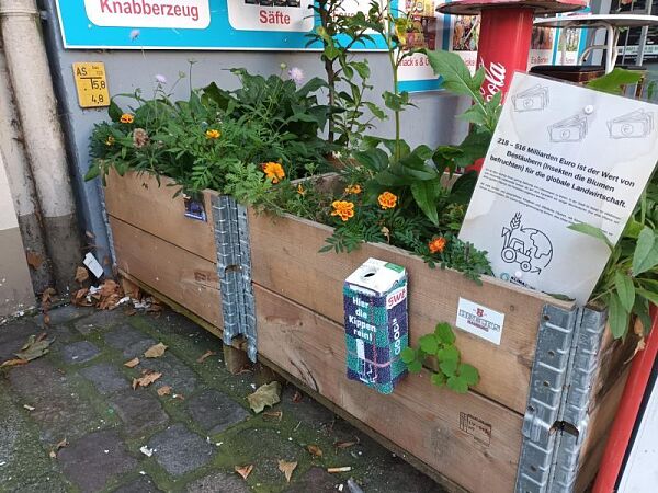 Foto von einem Hochbeet als Insektenoase im Bremer Stadtteil Findorff 