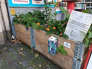 Foto von einem Hochbeet als Insektenoase im Bremer Stadtteil Findorff 