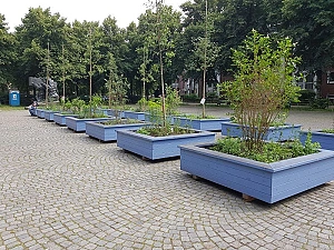 Foto von 16 mobilen Hochbeeten mit Bäumen und Sträuchern auf dem Bürgermeister-Ehlers-Platz in Bremen-Gröpelingen