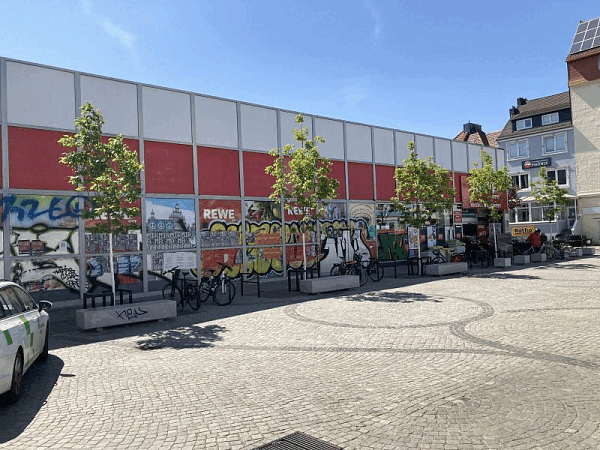 Baumneupflanzungen nach dem 