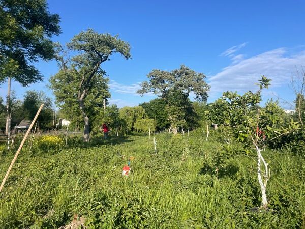 Foto vom Waldgarten im Grünen Bremer Westen