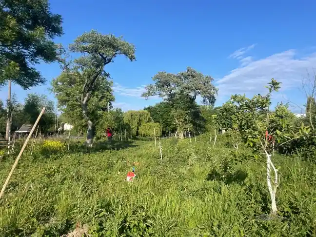 Foto vom Waldgarten im Grünen Bremer Westen