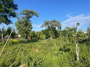 Foto vom Waldgarten im Grünen Bremer Westen