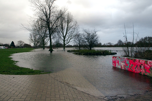 Hochwasser in der Pauliner Marsch