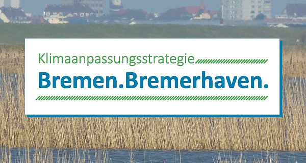 Ausschnitt des Covers der Klimaanpassungsstrategie für Bremen und Bremerhaven.