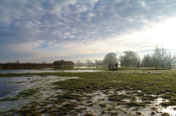 Überschwemmte Weide mit Sonnenstrahlen. Quelle: pixabay